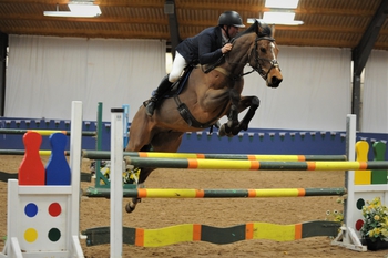 John Crippen takes a one-two in the SEIB Winter Novice Qualifier at SouthView Competition and Training Centre John Crippen takes a one-two in the SEIB Winter Novice Qualifier at SouthView Competition and Training Centre